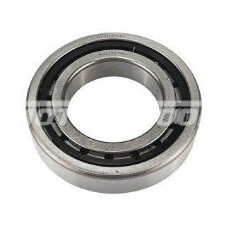 Подшипник Bitzer RC-U08555